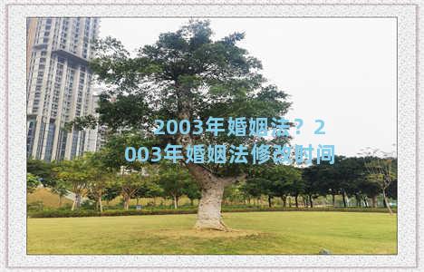 2003年婚姻法？2003年婚姻法修改时间