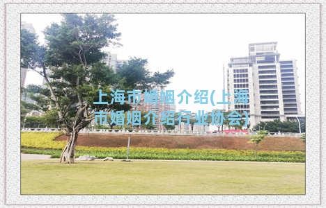 上海市婚姻介绍(上海市婚姻介绍行业协会)