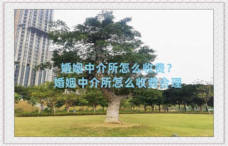 婚姻中介所怎么收费？婚姻中介所怎么收费合理