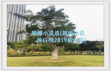 婚姻小说选(婚姻小说排行榜2019前十名)