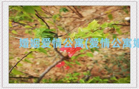 婚姻爱情公寓(爱情公寓婚礼)