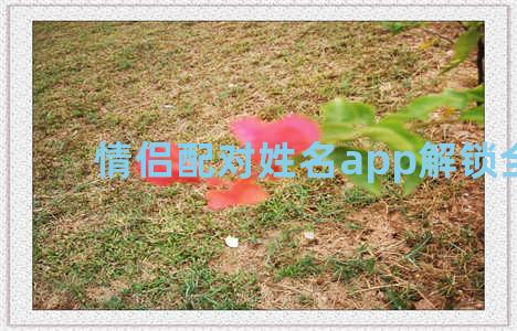 情侣配对姓名app解锁全部