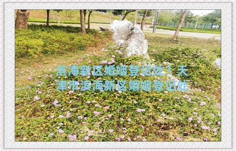 滨海新区婚姻登记处？天津市滨海新区婚姻登记处