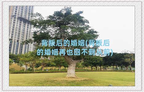 背叛后的婚姻(背叛后的婚姻再也回不到从前)