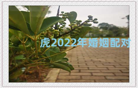 虎2022年婚姻配对