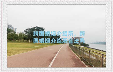 跨国婚姻介绍所，跨国婚姻介绍所合法吗